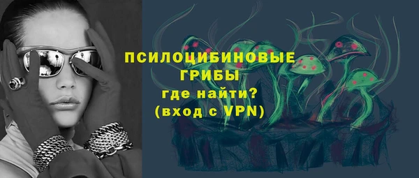 экстази Белокуриха