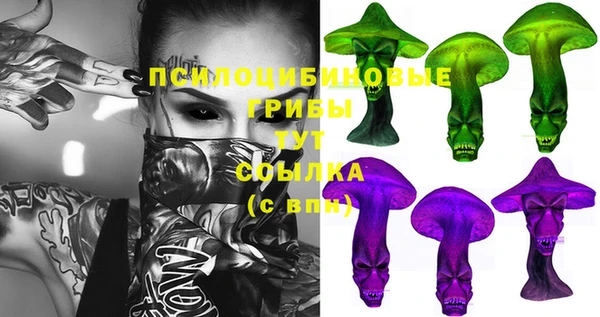 экстази Белокуриха