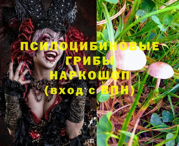 круглые Богородицк